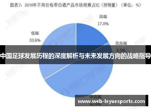 中国足球发展历程的深度解析与未来发展方向的战略指导