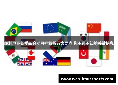 帕利尼亚冬季转会期目标解析五大要点 你不可不知的关键信息