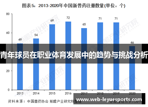 青年球员在职业体育发展中的趋势与挑战分析